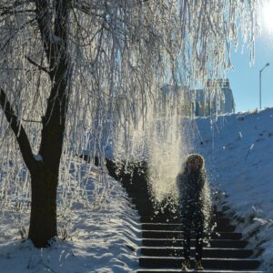 甥っ子生活に慣れてきた 冬景色 画像